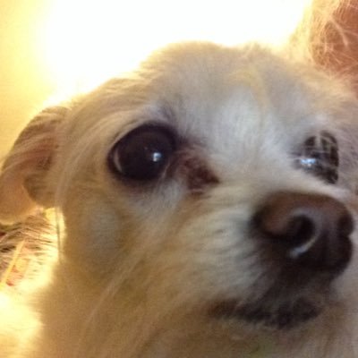 helloinc2's profile picture. 