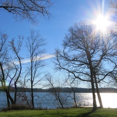 mn_kathy's profile picture.