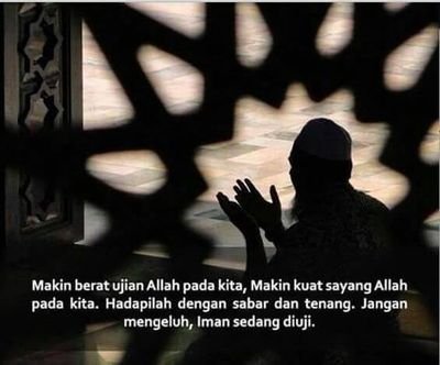 AlifRihanan's profile picture. 