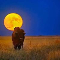 danguiett's profile picture. I have little  to  say