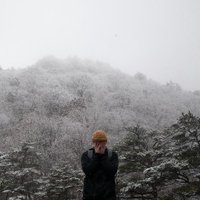 WoodzSTHLM (@woodzsthlm) 's Twitter Profile