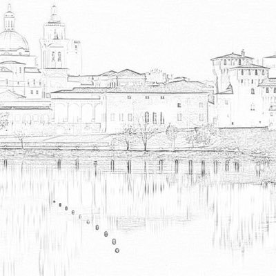 FIMMGMantova's profile picture. 