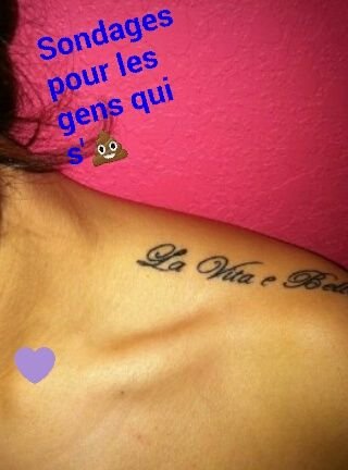 tu t'emmerde ? follow puis répond aux sondages et si t'as des idées de sondages fait en moi part.