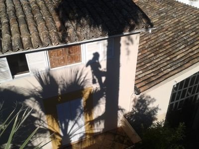 Trabajos de poda en altura en la región del levante.
podaslevante@gmail.com