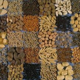 tohum_emanettir's profile picture. 