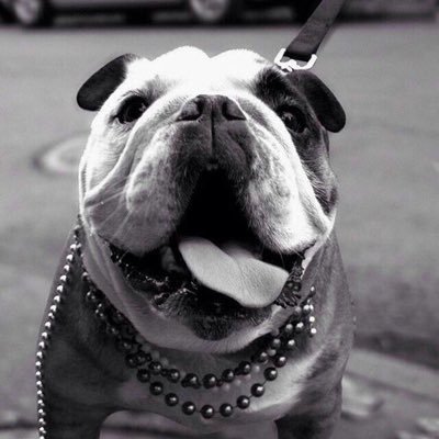 patty_ram02's profile picture. 