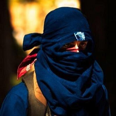 vikingosloth's profile picture. 