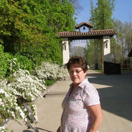 nairdecamargo's profile picture. nairdecamargolopes@hotmail.com