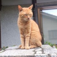 ぶる道(@rrmatt5525) 's Twitter Profile Photo