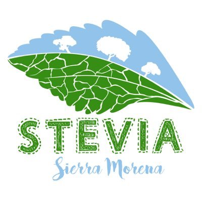 Producción de Hoja de #Stevia deshidratada Gourmet. Venta al por mayor.