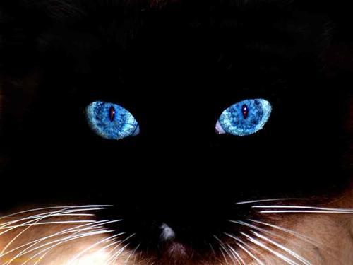 sharepointpad's profile picture.
