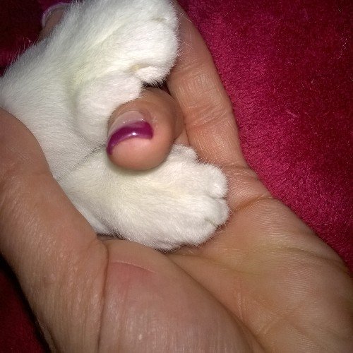 Fan de french manucure et de nail art.....