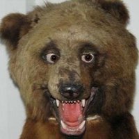 Crap Taxidermy (@crapsidermy) 's Twitter Profile