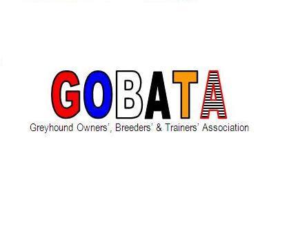 GOBATA Profile Picture
