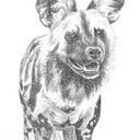 Pascal Parent - @MMWABD - Twitter