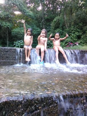 MujicaWuily's profile picture. bolivariano  defensor de mi país y de la unión latinoamericana y caribeña..