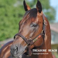 Pleasant Acres (@pleasantacresst) 's Twitter Profile