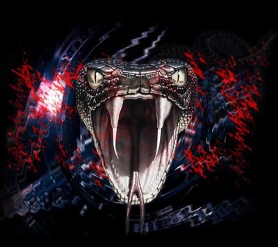 VIVAROTA's profile picture. COBRA + VENENO PARA TODA VAGABUNDAGEM DE POLÍTICOS LADRÕES!!