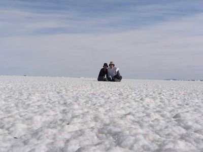 lalehwilliams's profile picture. Observer, constantly interested why, and lucky to be a mum of 2 beautiful boys