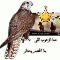 أخبار قبيلة زعب (@alzoubinews) 's Twitter Profile Photo أخبار قبيلة زعب (@alzoubinews) 's Twitter Profile Photo