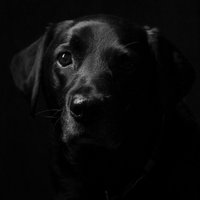 Paul Saxby (@lightpro) 's Twitter Profile