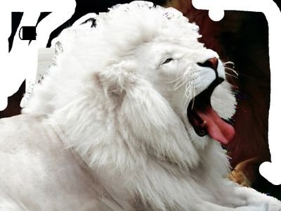 PetankiHa's profile picture. 