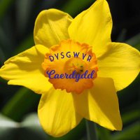 Dysgwyr Caerdydd (@dysgwyrcaerdydd) 's Twitter Profile
