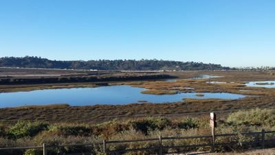 Official account for CSULB Wetlands Ecology Lab. A mud-loving wetland ecologist, educator, and ocean enthusiast. she | her | hers