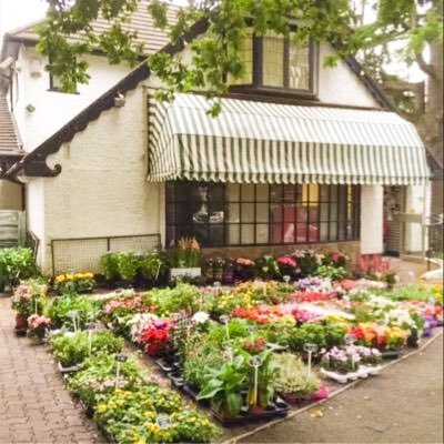 An iconic, family run local shop in Rhiwbina. Fruit & Veg, fresh bread & pastries, butchers ham & filled rolls made to order.