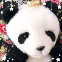 生き物のトリビアbot (@_ikimono_trba) 's Twitter Profile
