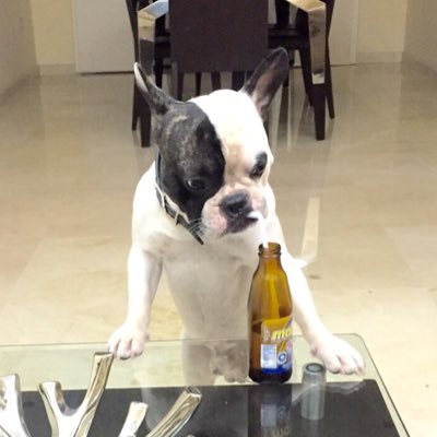 alexs16's profile picture. accounting