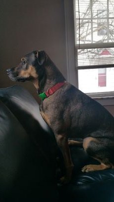 zenjenkzoo1's profile picture. 