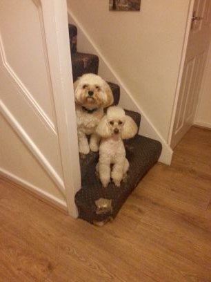 Newlove09's profile picture. 