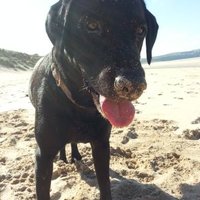 James Kelly (@jamesk1969) 's Twitter Profile Photo