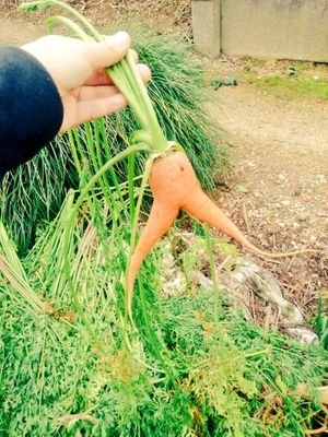 なごみじいや 茶でも飲もうや□版権も創作(学戦/百高/BOV/EAT/地下鉄/いろ/繭/東異審/TSP/ｸﾚ寄/あな盾/利害/ドル科/鯨高！)もやる。□沼に落ちすぎ。□かけない。画像欄で察してね。□べった https://t.co/1ZuPJgpr6D