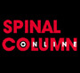 Spinal Column