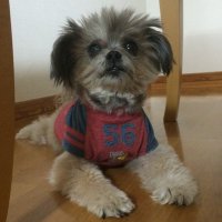 NH (@hatching8810) 's Twitter Profile
