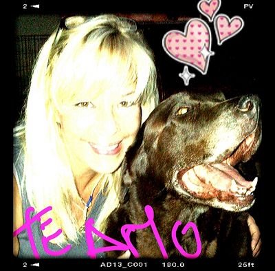 Hospedaje de mascotas, servicio de transporte. Nuestro horario 9:30am a 5:00pm de Lunes a Sabado. Facebook Beatriz Posada Canina https://t.co/utXkOSqygk