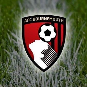 we are a supporters page for AFC BOURNEMOUTH. We are AFCB Loyals. page is owned by @AFCBMillar #AFCB