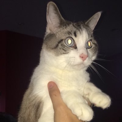 iStevenBenson's profile picture. Stev Bens