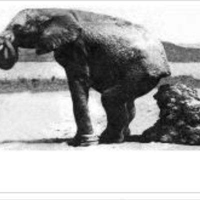 Magicmax1345's profile picture. #runny #Havetoshit #pooooo