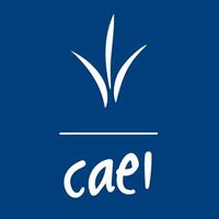 Consorcio Azucarero de Empresas Industriales CAEI(@CAEIrd) 's Twitter Profile Photo