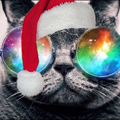 YoNiggaTy's profile picture. 