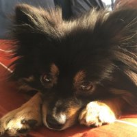 HiROKAZU (@hirokazu_0710) 's Twitter Profile Photo