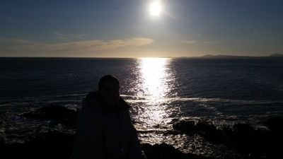 alespetes's profile picture. 