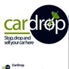 cardropsoflo's profile picture. 