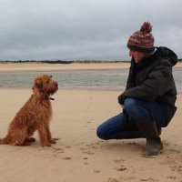 ian dyble (@idyble) 's Twitter Profile