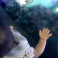 AndanieLutfia ♚ (@ayuandaniee) 's Twitter Profile