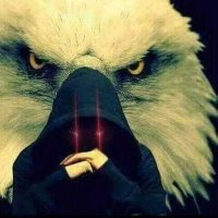 المهيب (@hamad1230h) 's Twitter Profile