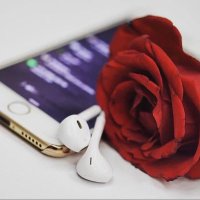 so0o0ma.5/5 (@assa54541) 's Twitter Profile